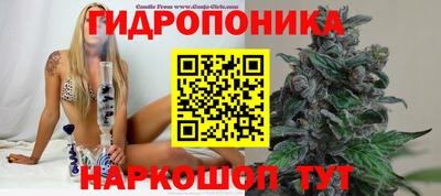 ECSTASY Бугуруслан