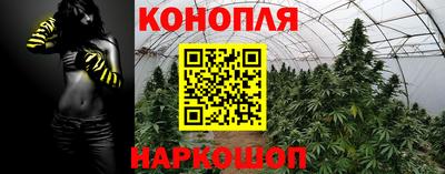 ГАЛЛЮЦИНОГЕННЫЕ ГРИБЫ Будённовск