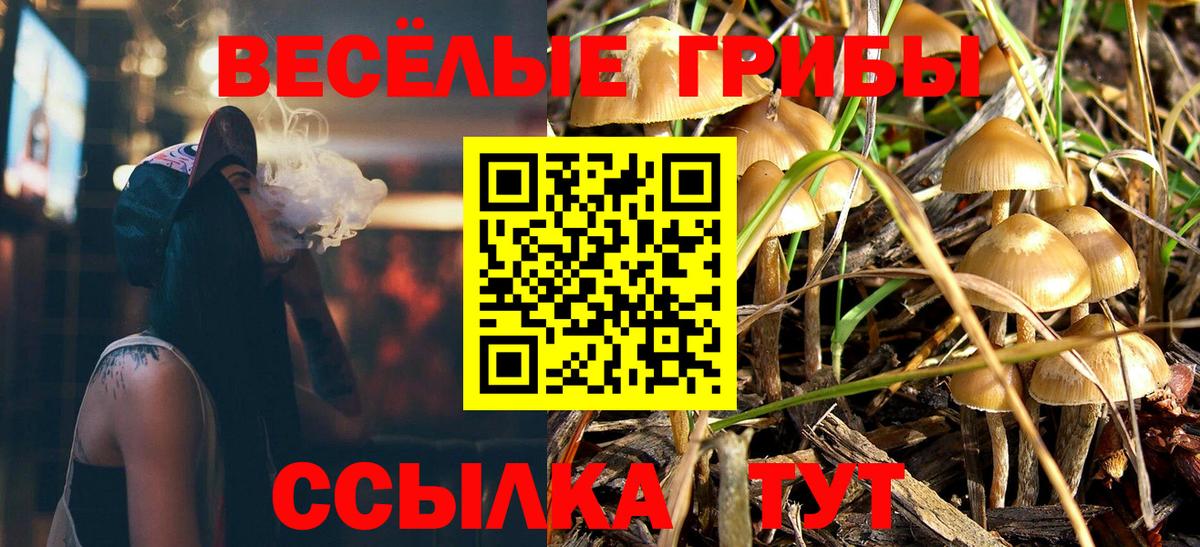 Троицк  Галлюциногенные грибы прущие грибы  Вход с VPN 